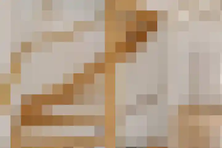 Pream 19 Joure thumbnail 32