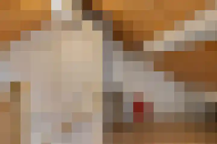 Pream 19 Joure thumbnail 36