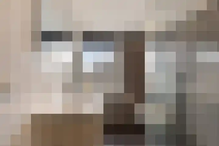Pream 19 Joure thumbnail 4