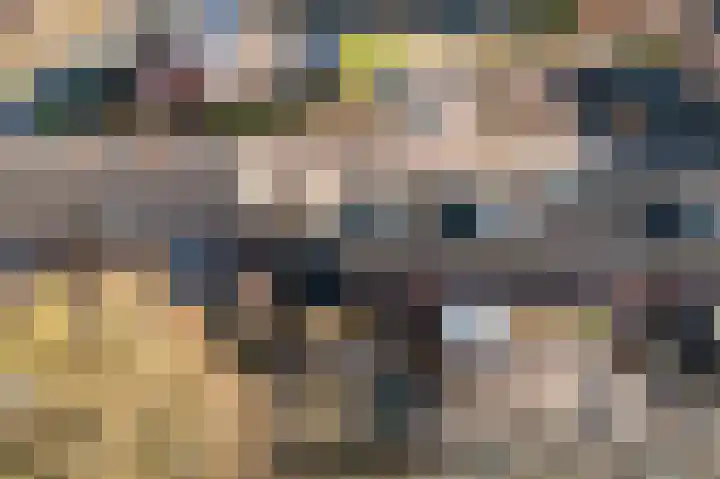 Pream 19 Joure thumbnail 43