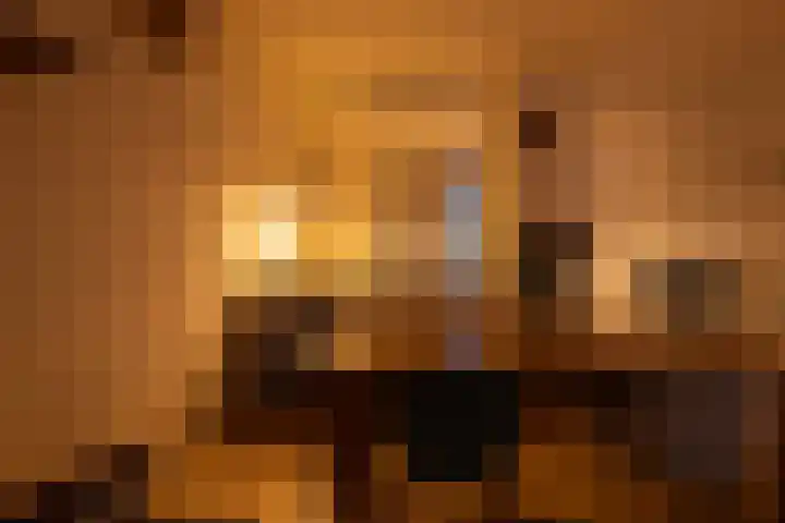 Preangerstraat 1 Amsterdam thumbnail 18