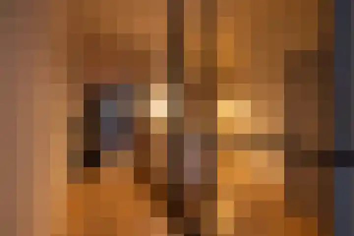 Preangerstraat 1 Amsterdam thumbnail 7