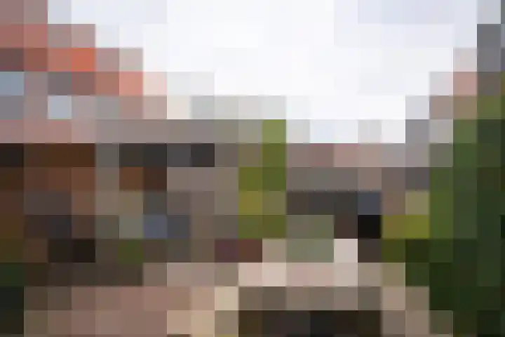 Preangerstraat 15 Haarlem thumbnail 17