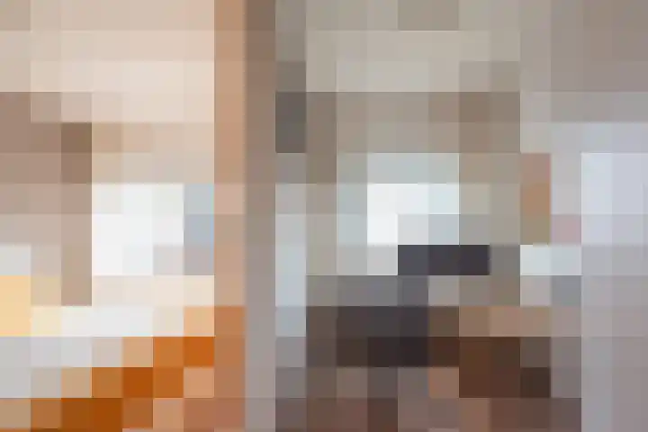 Preangerstraat 15 Haarlem thumbnail 24