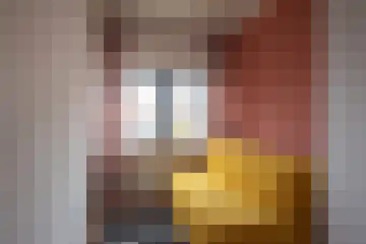 Preangerstraat 15 Haarlem thumbnail 27