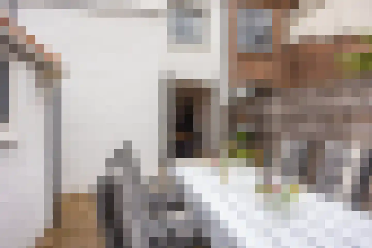 Preangerstraat 25 Enschede thumbnail 32