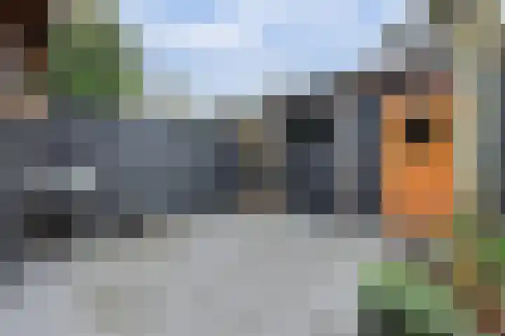 Preangerstraat 35 Enschede thumbnail 34