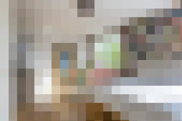 Preangerstraat 40 Amsterdam thumbnail 18