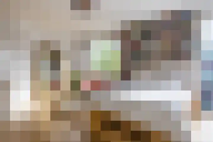 Preangerstraat 40 Amsterdam thumbnail 19