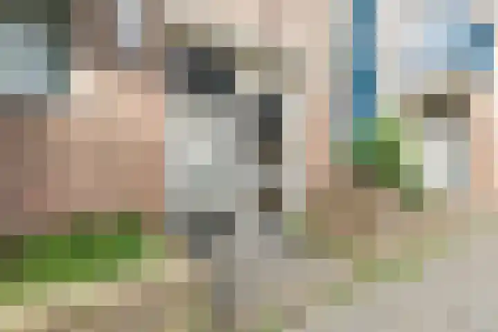 Preangerstraat 40 Amsterdam thumbnail 4