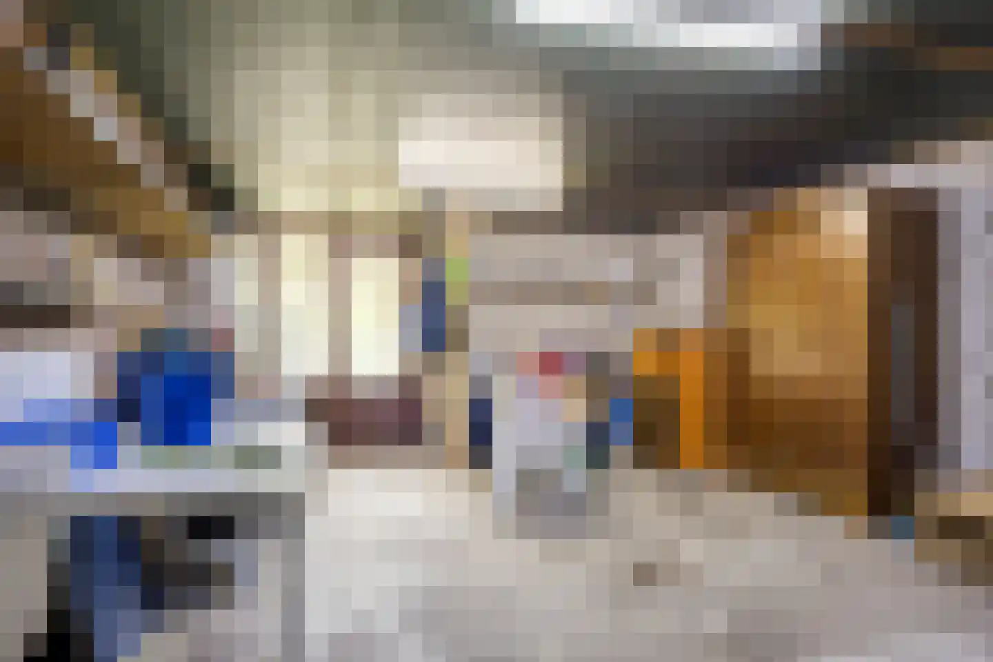 Predikant Swildensstraat 28 Gemert thumbnail 24