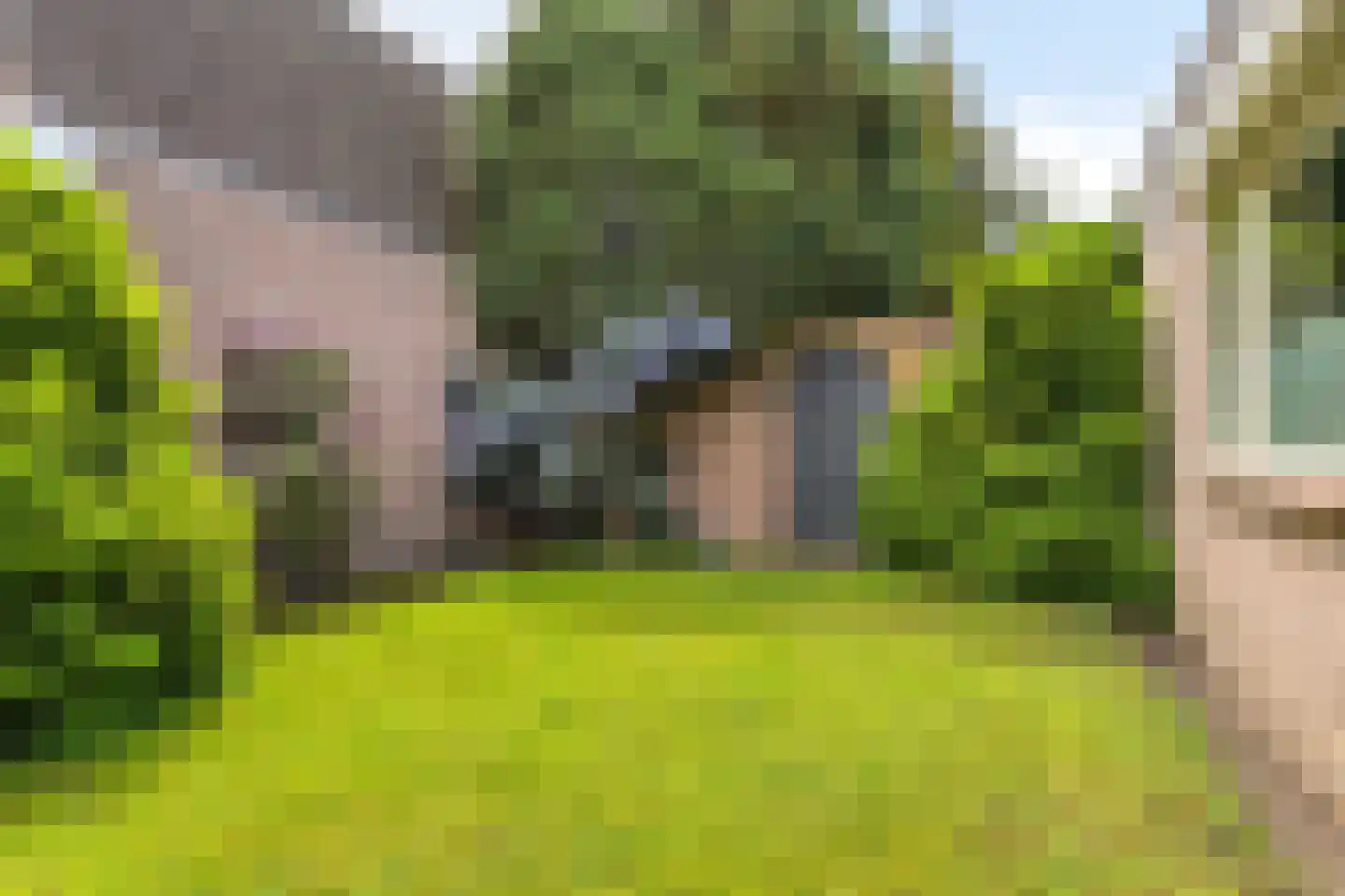 Predikant Swildensstraat 28 Gemert thumbnail 33