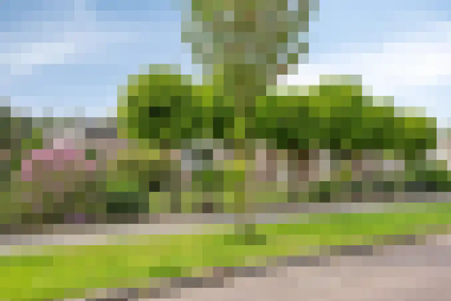 Predikant Swildensstraat 28 Gemert thumbnail 34