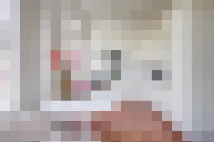 Predikherenkerkhof 20 A Utrecht thumbnail 10