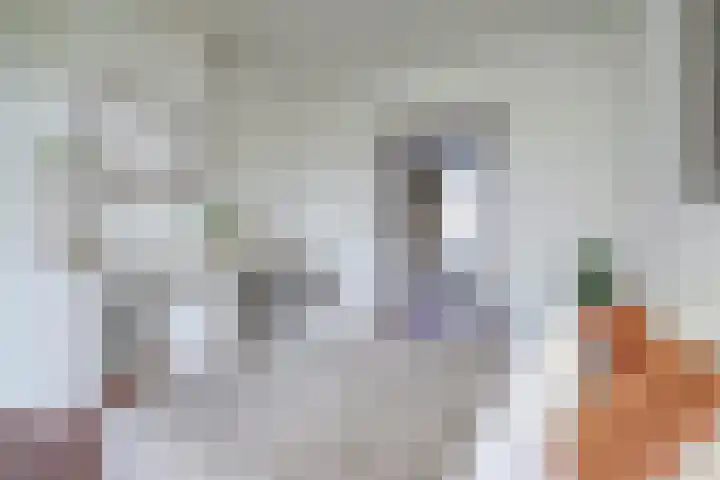 Predikherenkerkhof 20 A Utrecht thumbnail 21