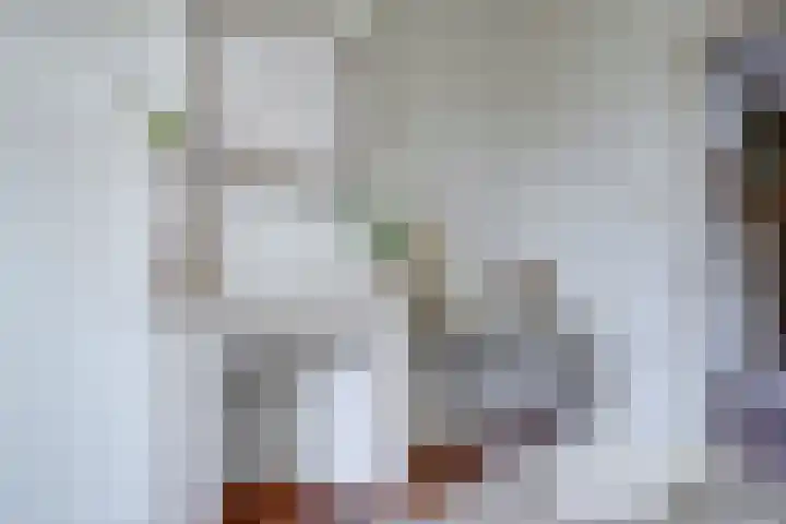 Predikherenkerkhof 20 A Utrecht thumbnail 24