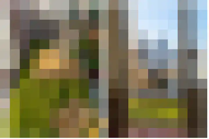 Predikherenkerkhof 20 A Utrecht thumbnail 26