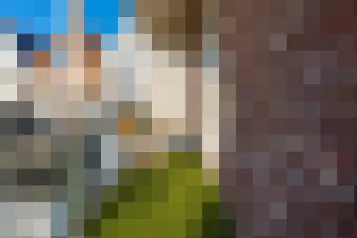 Predikherenkerkhof 20 A Utrecht thumbnail 27