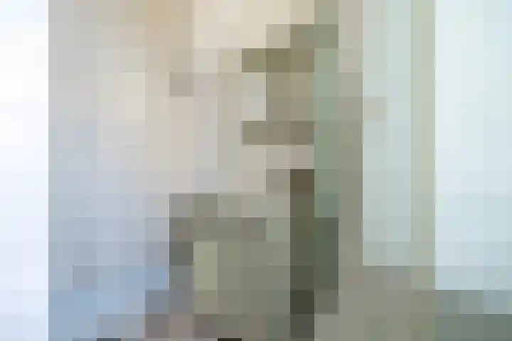 Predikherenkerkhof 20 A Utrecht thumbnail 29