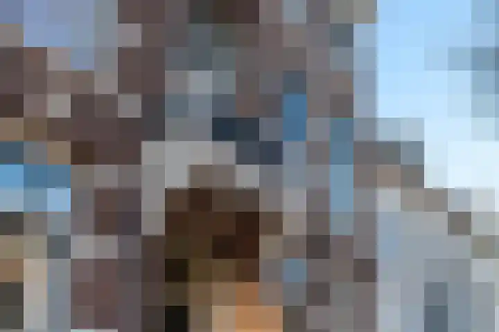 Predikherenkerkhof 20 A Utrecht thumbnail 34