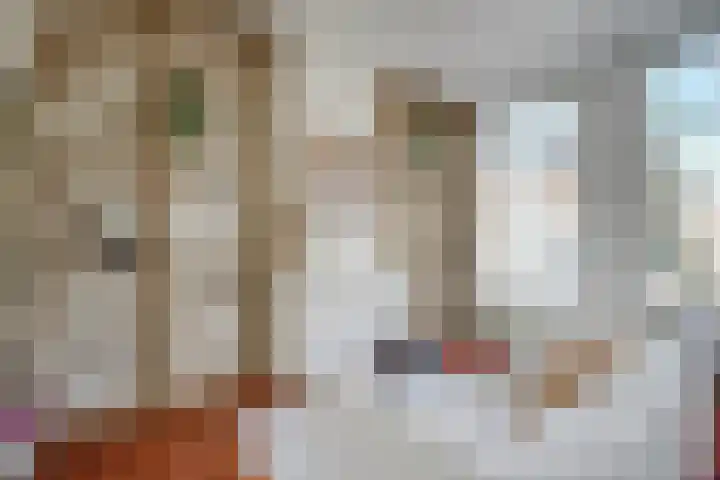 Predikherenkerkhof 20 A Utrecht thumbnail 6