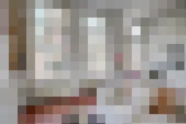 Predikherenkerkhof 20 A Utrecht thumbnail 9