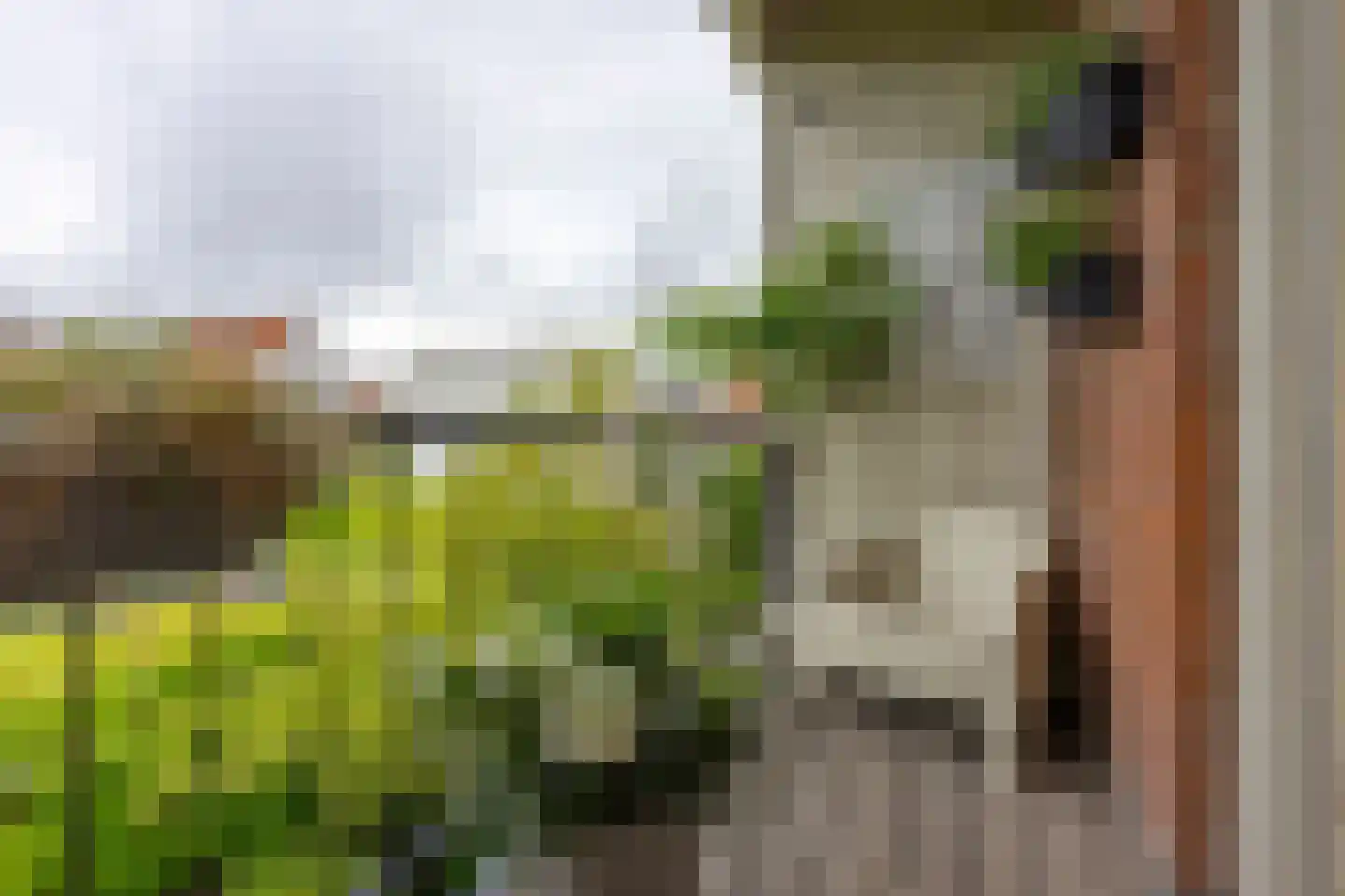 Predikherenkerkhof 8 BS Utrecht thumbnail 10