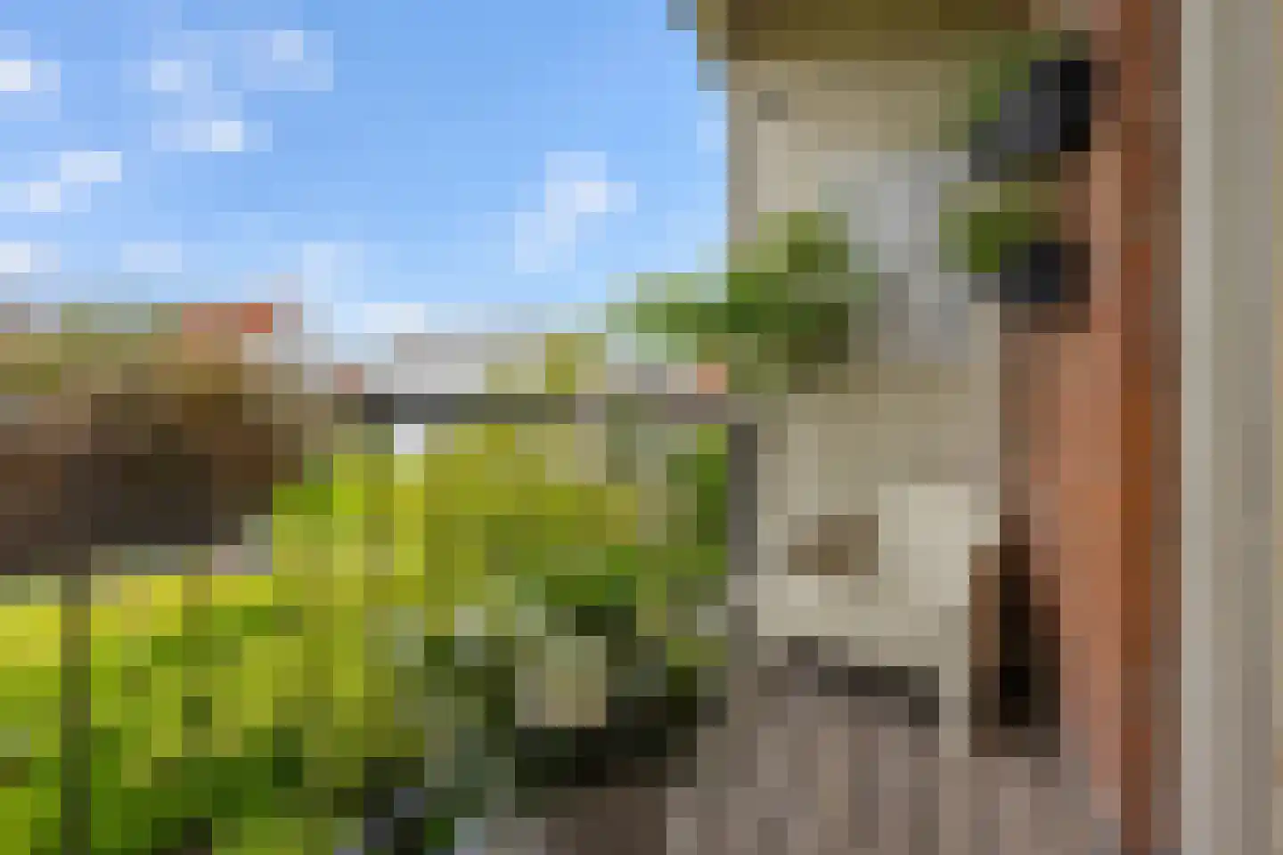 Predikherenkerkhof 8 BS Utrecht thumbnail 12