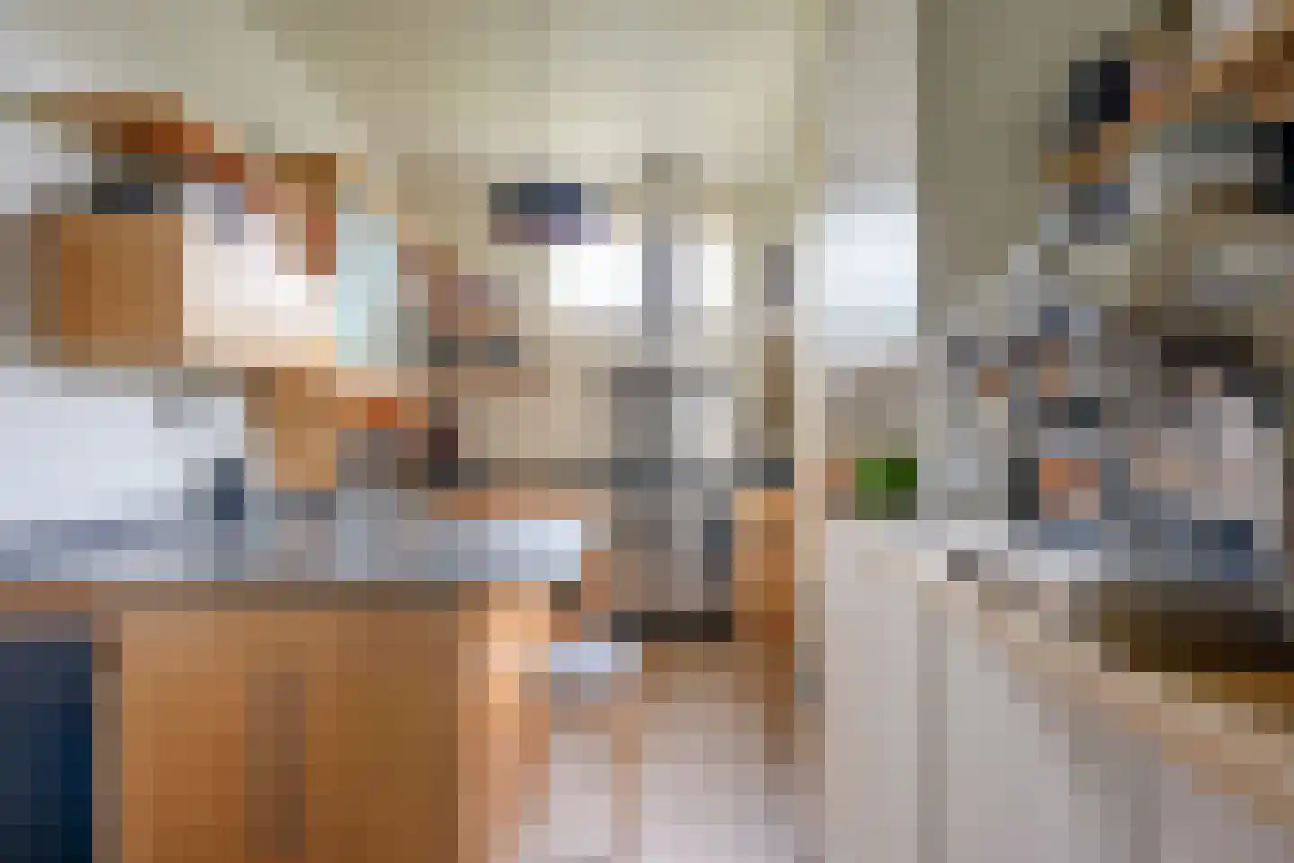 Predikherenkerkhof 8 BS Utrecht thumbnail 16