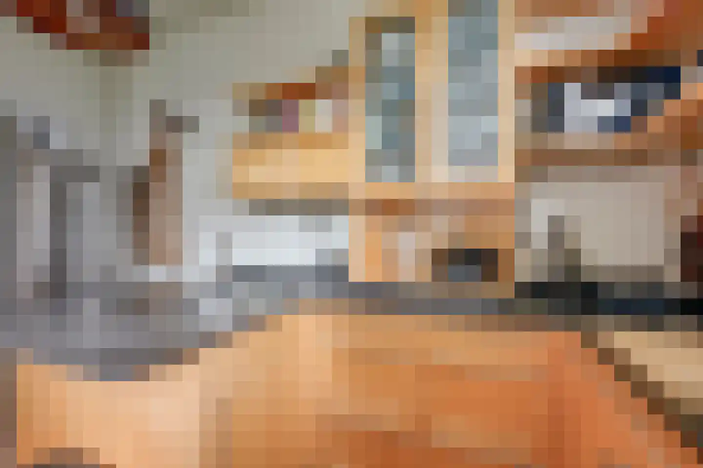 Predikherenkerkhof 8 BS Utrecht thumbnail 18