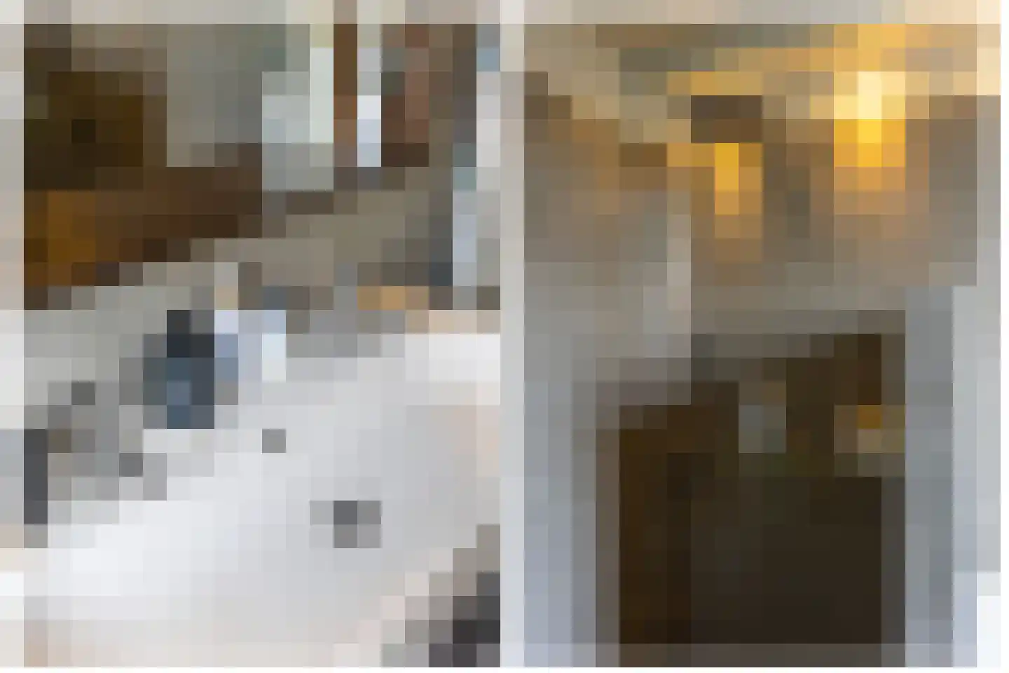 Predikherenkerkhof 8 BS Utrecht thumbnail 30