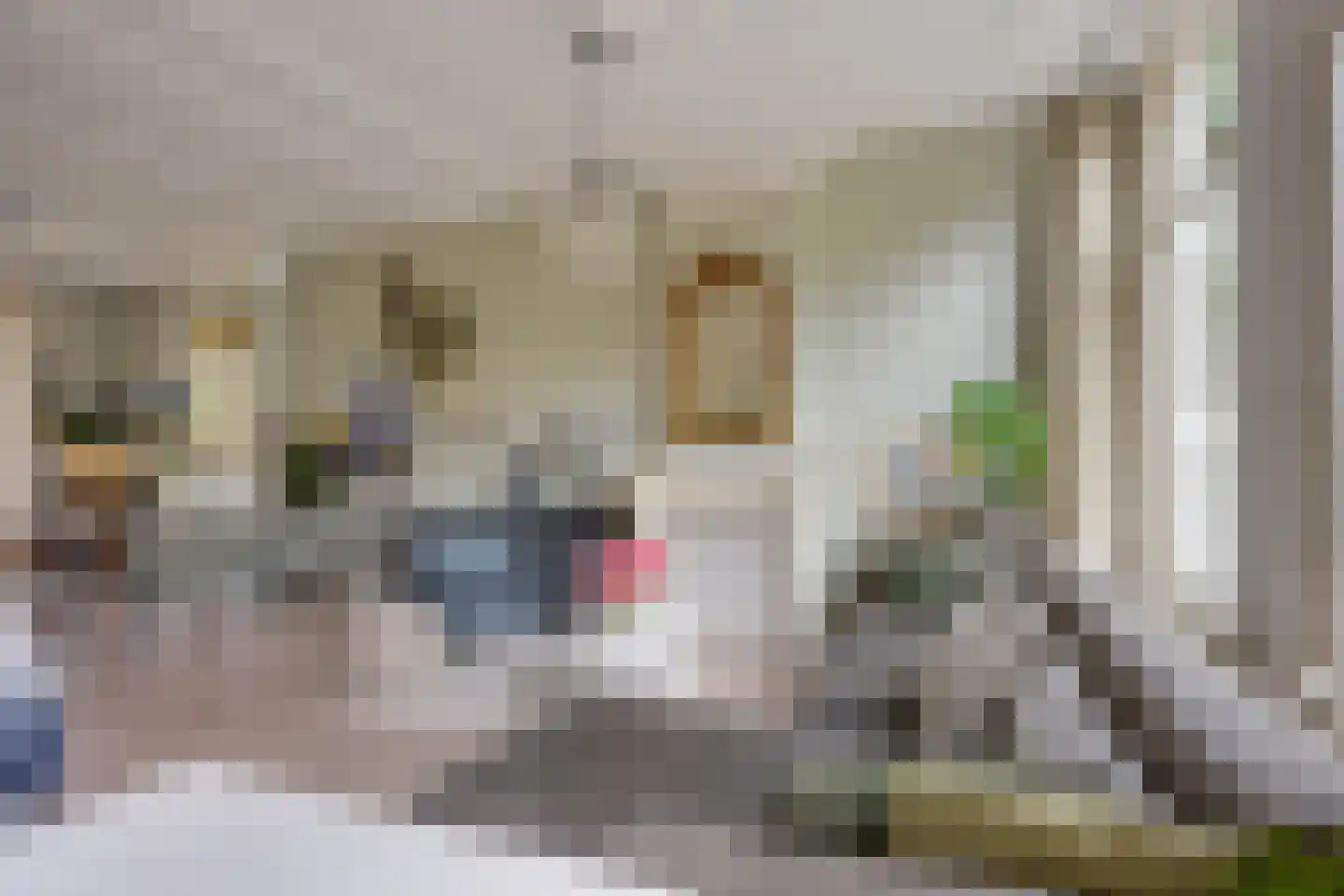 Predikherenkerkhof 8 BS Utrecht thumbnail 4