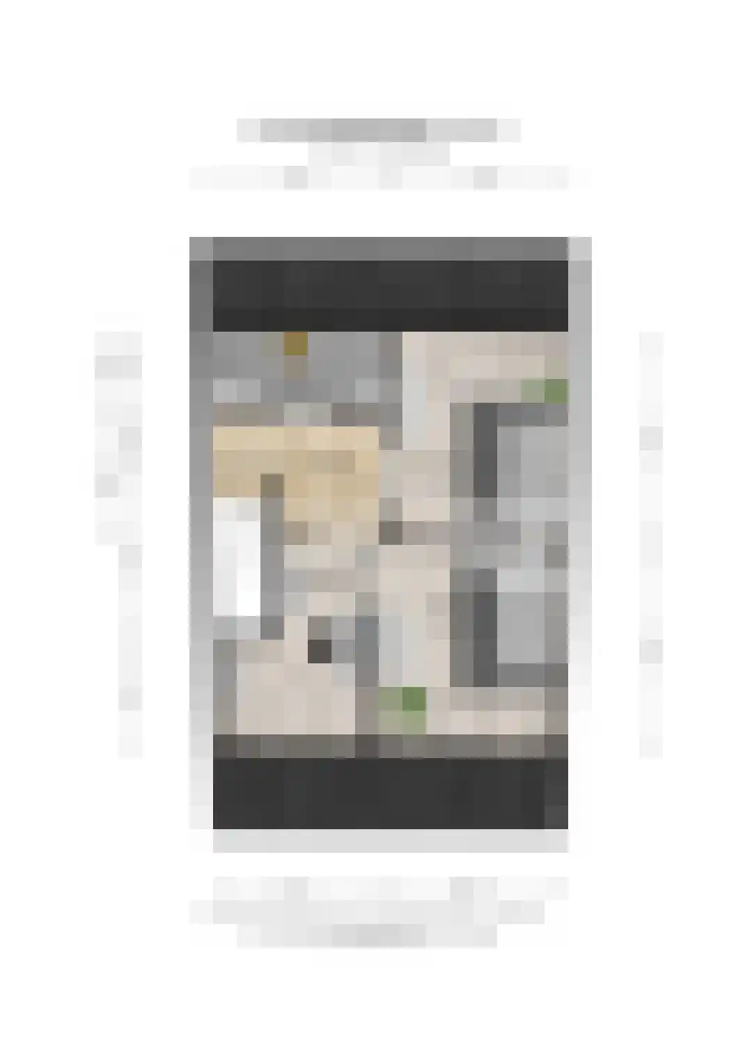 Predikherenkerkhof 8 BS Utrecht thumbnail 44