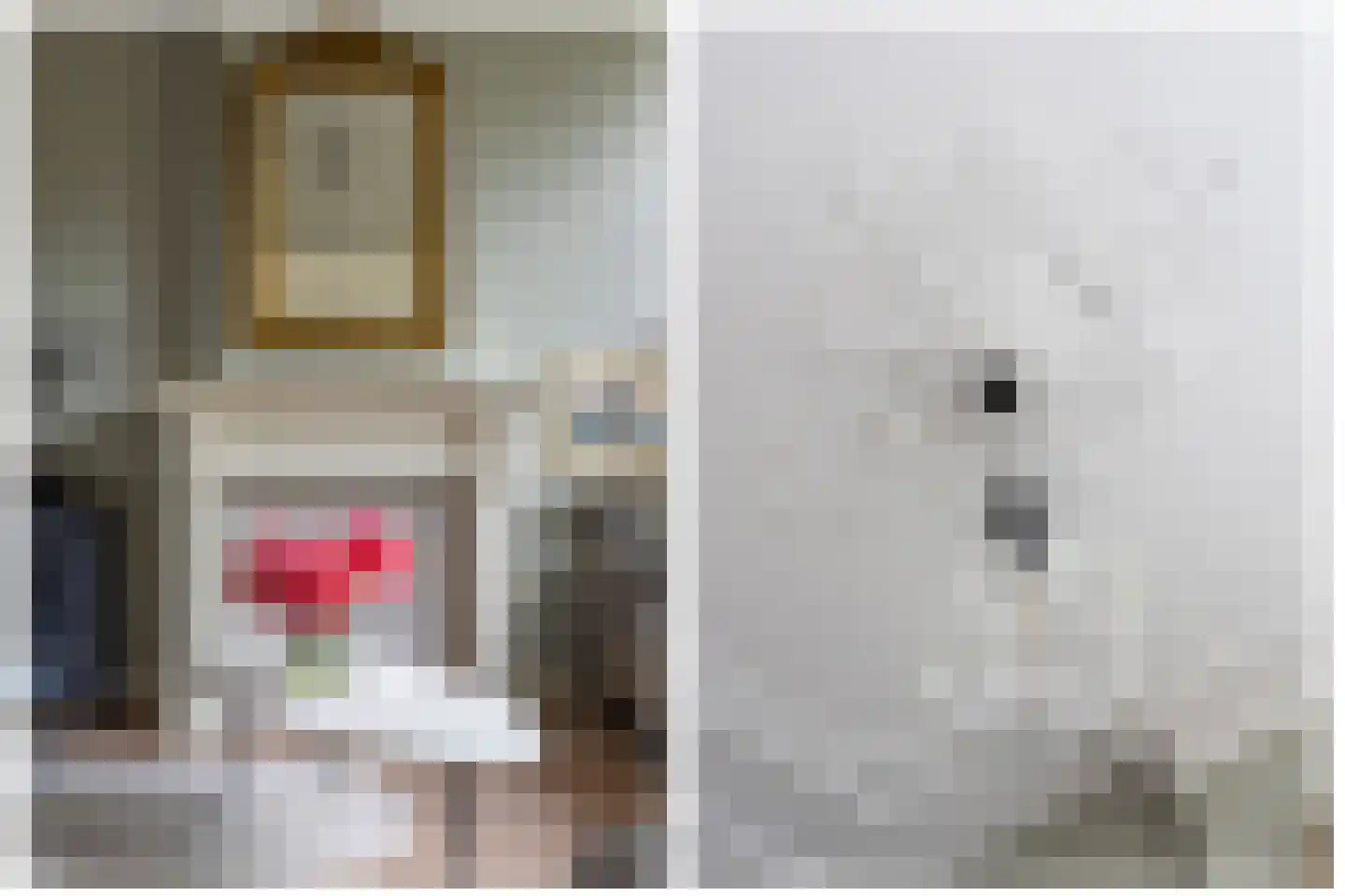 Predikherenkerkhof 8 BS Utrecht thumbnail 5