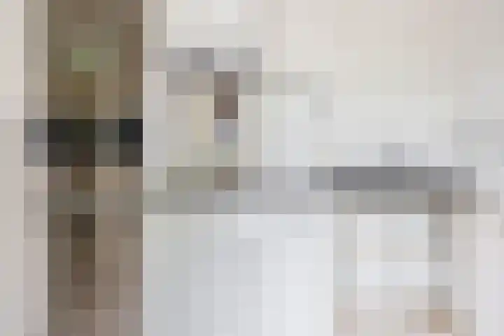 Predikherenlaan 1 Tilburg thumbnail 10