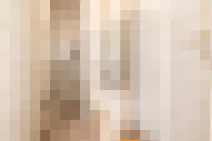 Predikherenlaan 1 Tilburg thumbnail 11