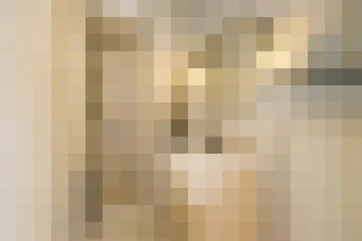 Predikherenlaan 1 Tilburg thumbnail 12