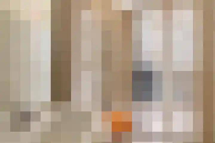 Predikherenlaan 1 Tilburg thumbnail 14