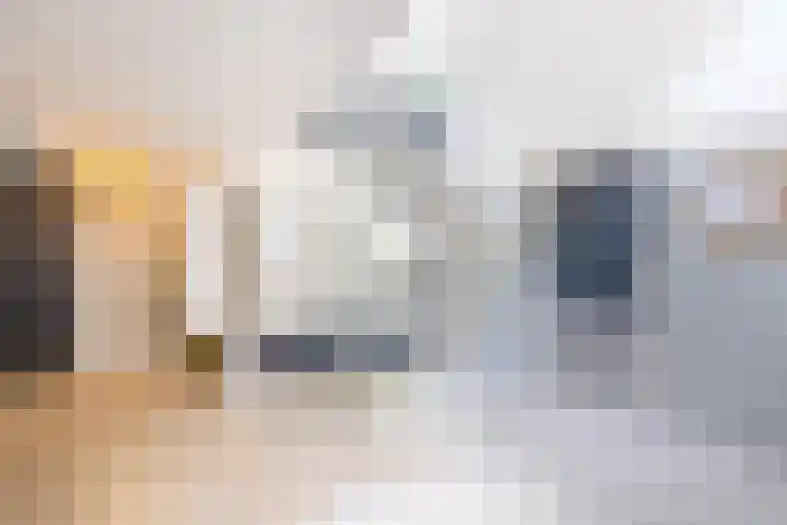 Predikherenlaan 1 Tilburg thumbnail 25