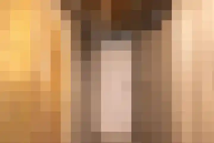 Predikherenlaan 1 Tilburg thumbnail 27