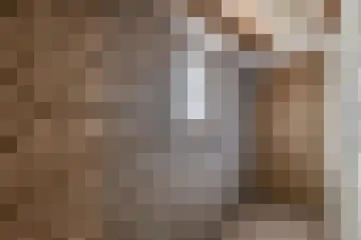 Predikherenlaan 1 Tilburg thumbnail 28