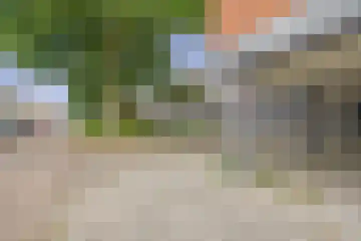 Predikherenlaan 1 Tilburg thumbnail 34