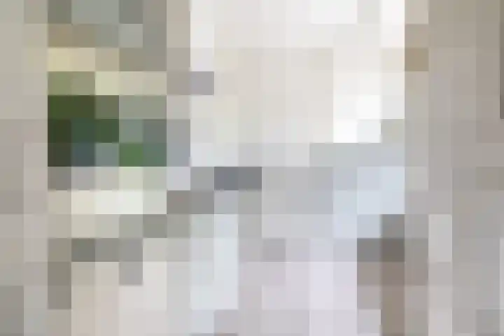 Predikherenlaan 1 Tilburg thumbnail 4