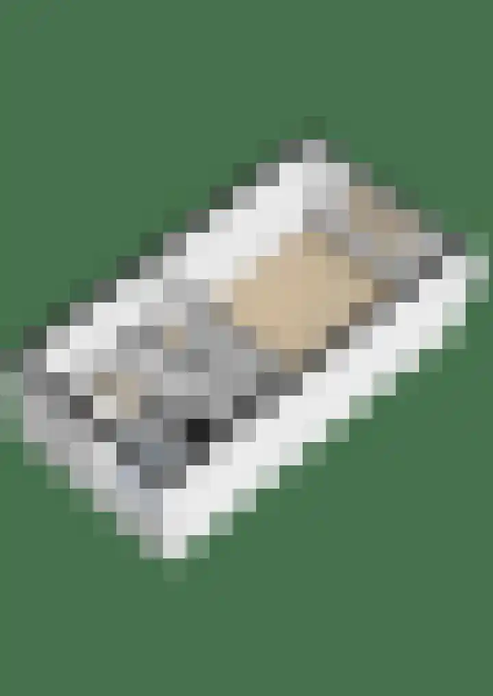 Predikherenlaan 1 Tilburg thumbnail 41