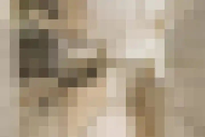 Predikherenlaan 1 Tilburg thumbnail 7
