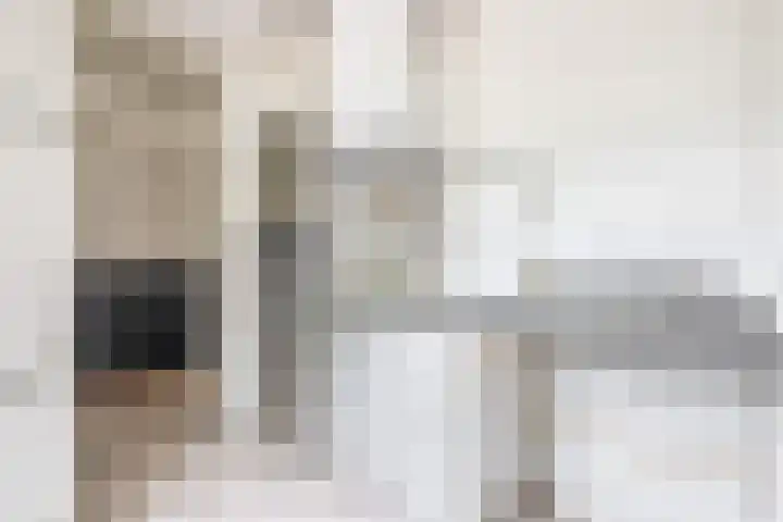 Predikherenlaan 1 Tilburg thumbnail 9