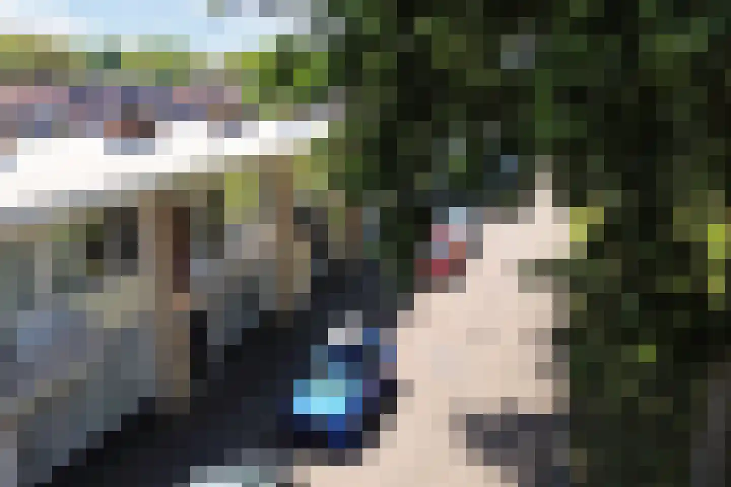 Predikherenlaan 10 Tilburg thumbnail 33