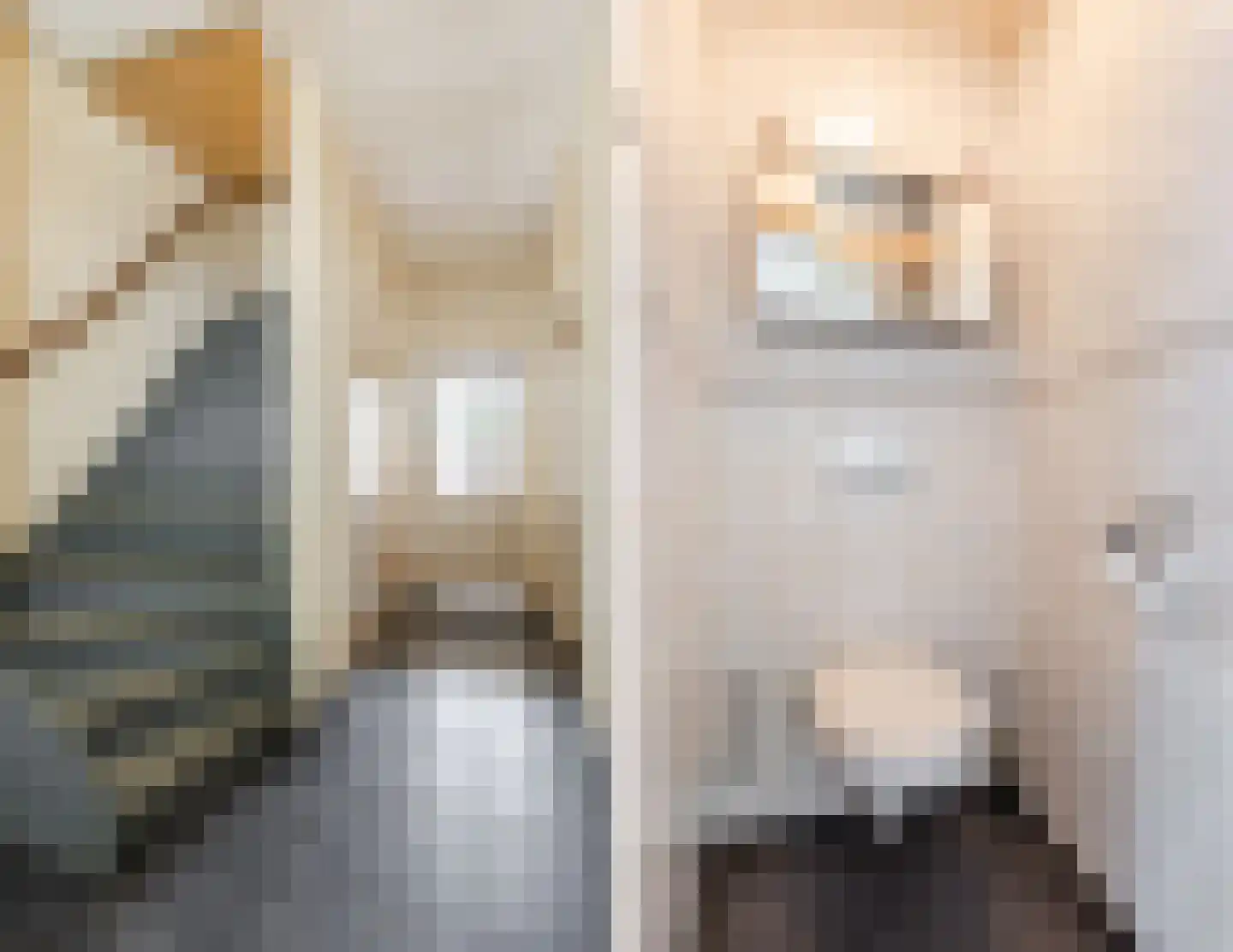 Predikherenlaan 10 Tilburg thumbnail 4