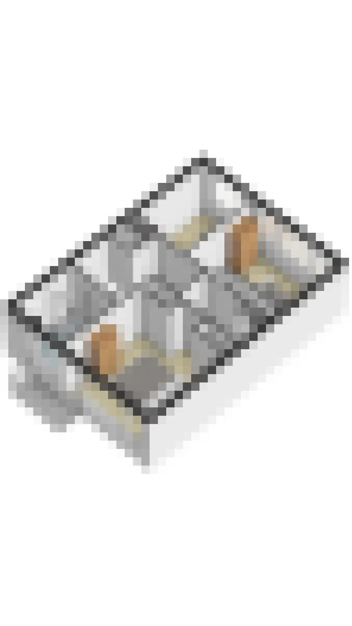 Predikherenlaan 10 Tilburg thumbnail 40