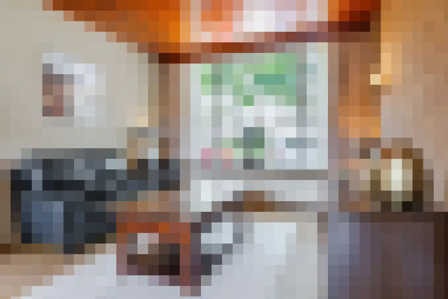 Predikherenlaan 10 Tilburg thumbnail 5